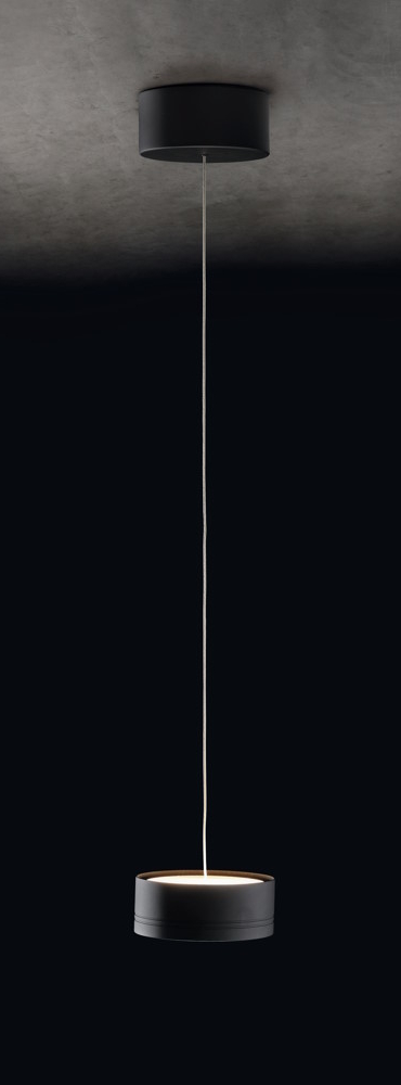 2051-1-55 Favor 1000x1000